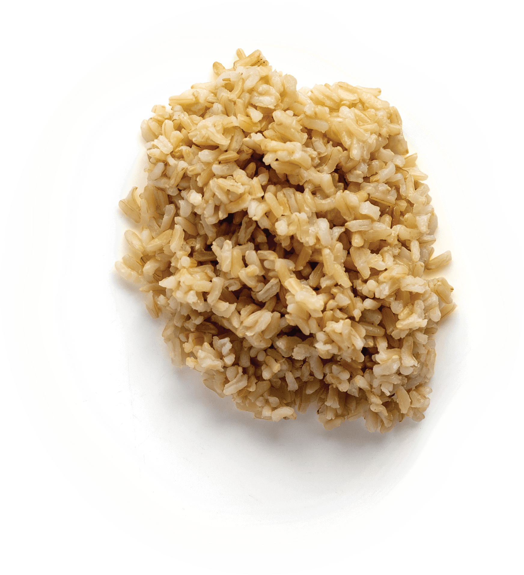 Brown Rice