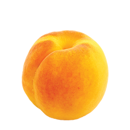 apricot img