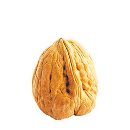 walnut img